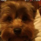 Filipkolarz Foto pengguna Filipkolarz