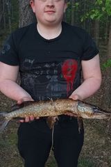 Foto pengguna Jullska