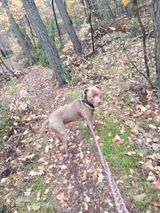 Фотография пользователя AlanBKG