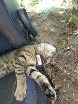 Benutzerfoto adoadek