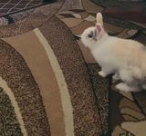 GarbosS Foto pengguna GarbosS