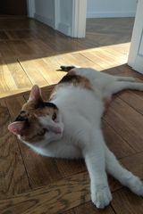 Ginekolog69 Фотография пользователя Ginekolog69