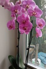 Foto pengguna Misiaczek90