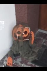 Foto pengguna Adamus12000000