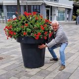 Foto pengguna jmorley7545