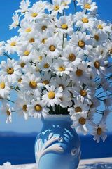 Foto pengguna Paul644