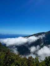 adi980 Фотография пользователя adi980