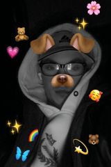 Foto pengguna KorczakJa