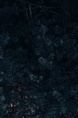 Фотография пользователя adrian199819981998