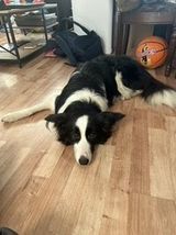 Foto pengguna Marysienka223