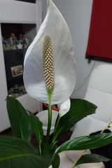 Foto pengguna KrzysztofKoszelnik