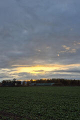 Foto utilizatorului CzarownicaIzabela