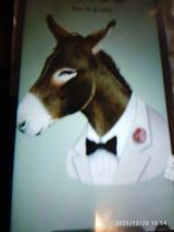 Фотография пользователя cwiertniazbigniew4