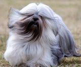 Emil52 Фотография пользователя Emil52