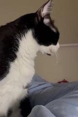 nikodiosj Фотография пользователя nikodiosj