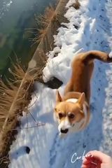 Foto pengguna graczg