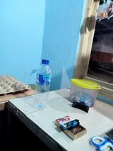 Benutzerfoto RisalAm