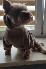 Foto pengguna Chris2470