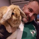 Foto utilizatorului Wil47