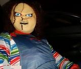 Foto pengguna JarekKonopka