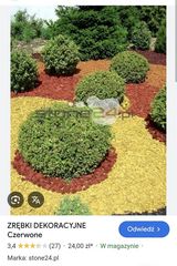 Benutzerfoto Luki1309