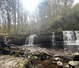 Foto pengguna Arnold92