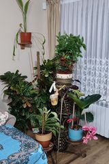 Foto pengguna Neo259