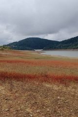 Foto pengguna jarko2233333