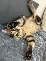 Foto pengguna Henrykhallowen