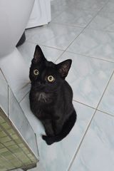 Foto pengguna magicmugorder