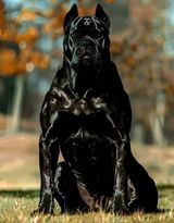 Benutzerfoto Ktowietenwie