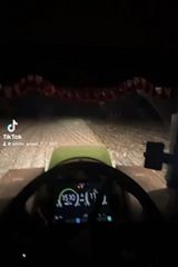 Foto pengguna dimavivsiannyk