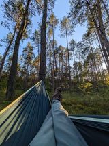 Benutzerfoto jurkowski4