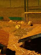 Foto pengguna tytus9733