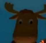 Foto pengguna alexander117