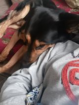 Foto pengguna TomaszKazmiercza57