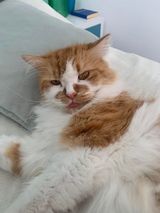 Foto pengguna DamianSDLL