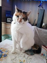 Foto pengguna mburchart24