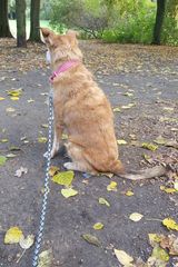 Foto pengguna embepiesamsung