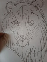 Photos AndrzejStrzeleck