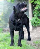 Benutzerfoto mwiszalkowski75