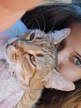 Foto pengguna cirkawiki