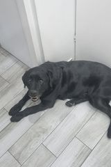 Foto pengguna wojteeek2003