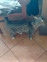 Foto pengguna mateuszhejduk02