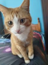 Фотография пользователя gregory1983