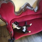 Foto pengguna Ojtamhehe