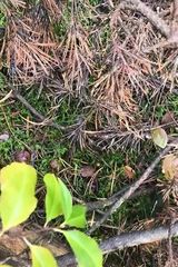 Benutzerfoto marysiaktomasz