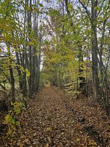 Foto pengguna lenalena13