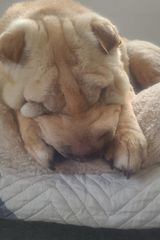 Foto pengguna sylwester613