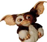 Foto pengguna Mirekzg